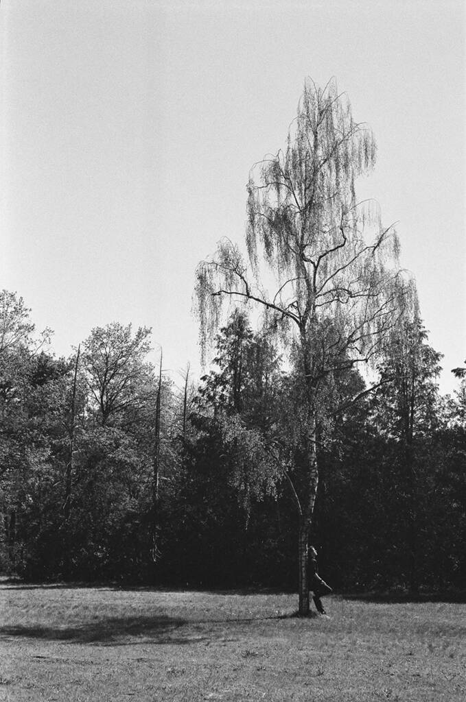 triple chaos, film photo